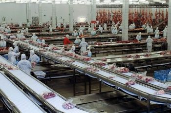 Proposta para reduzir impostos da carne bovina é analisado