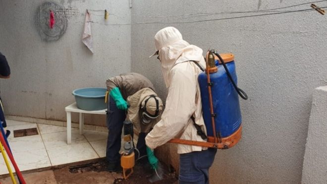 Equipe de combate ao escorpião faz visita a casas em Campo Grande
