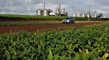 Via revitalizada receberá 100 caminhões por dia em época de colheita