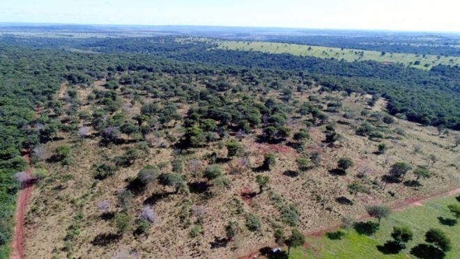 Com ajuda de drone PMA descobre desmatamento 