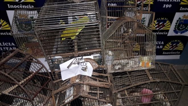 Caso de violência doméstica termina em apreensão de animais