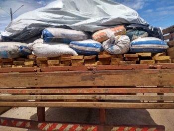 Caminhoneiro é detido pela PRF com carga de madeira ilegal 