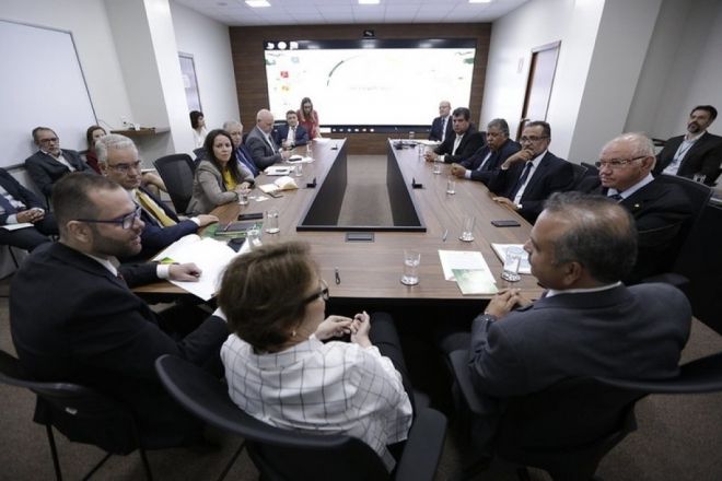 Tereza Cristina debate medidas para fortalecer a cria&ccedil;&atilde;o de camar&otilde;es no pa&iacute;s
