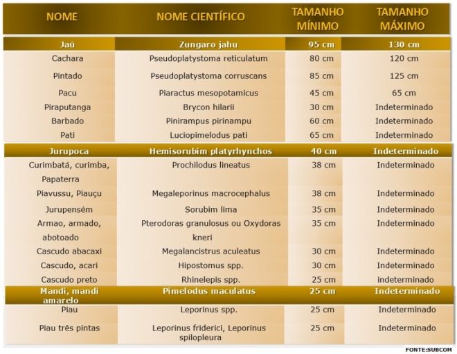 Novas regras para a pesca passam a vigorar em rios de MS