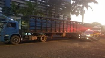 PRF apreende 500 mil maços de cigarros 