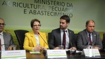 Tereza Cristina busca medidas para ajudar produtores gaúchos prejudicados pela seca