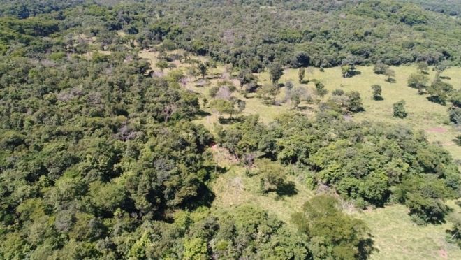 Goiano é multado em R$ 26,5 mil por desmatamento