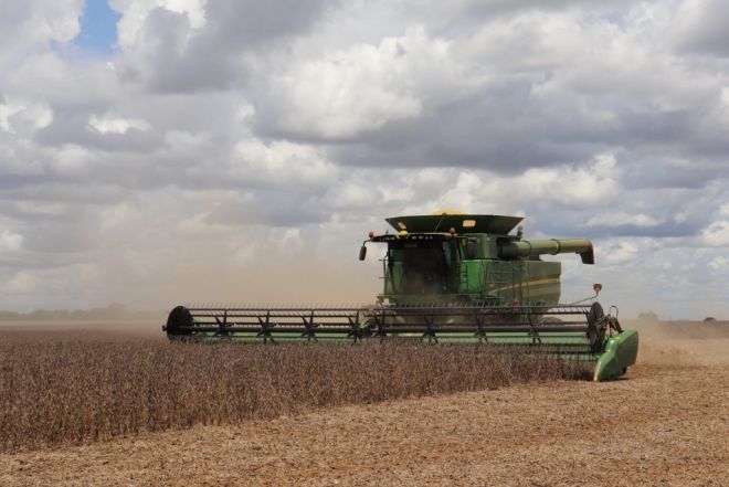 Colheita de soja atinge 82,6% da área plantada em MS
