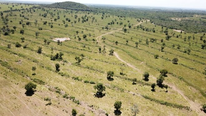 Após desmatar 102 hectares, homem é multado em R$ 118 mil