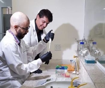 Em parceria com EUA, cientistas de MS fazem testes de medicamento antiviral