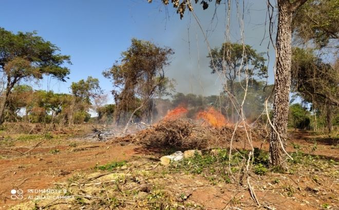 Paranaense é multado por incêndio em pastagem 