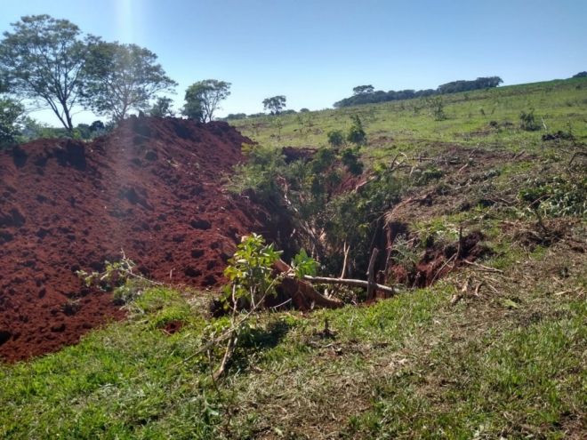 Homem é multado em R$ 77 mil por derrubar árvores 