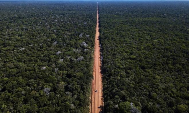 Amazonas: Governo publica edital para pavimentação da BR-319