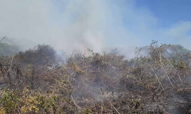 Incêndio destrói área do Pantanal perto de Corumbá