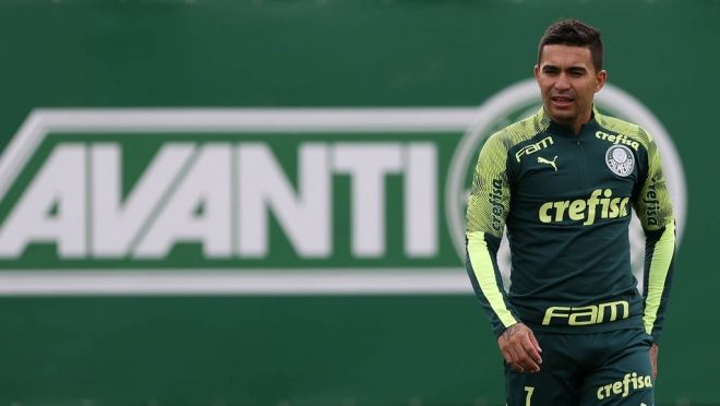 Palmeiras Dudu