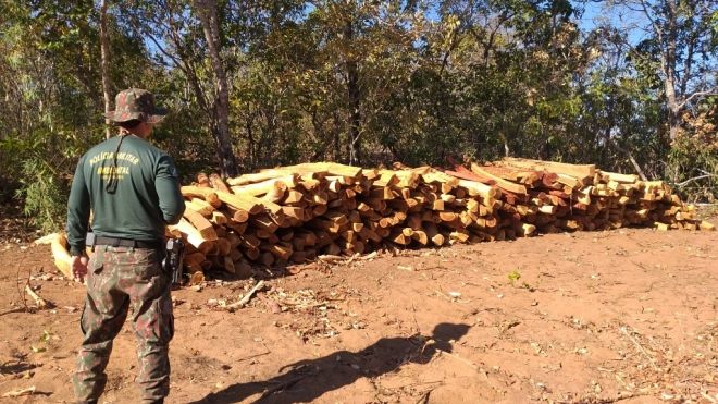 Fazendeiro é multado em R$ 38 mil por desmatamento 