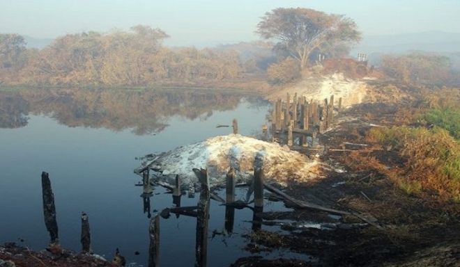 Ponte de madeira vira ‘cinzas’ com incêndio no Pantanal