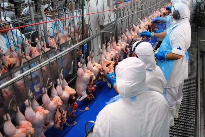 Filipinas suspendem importações de frango do Brasil