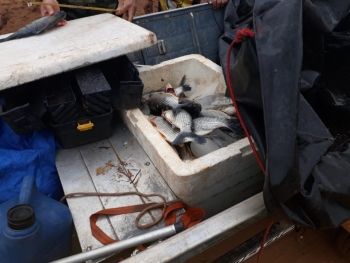 Pescadores são multados em R$ 3,7 mil 
