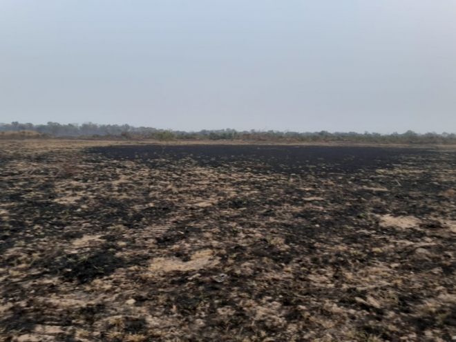 PMA flagra incêndio que se alastrou para pastagem no Pantanal 