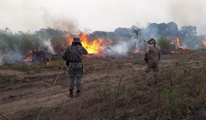 Combate aos focos de calor se intensifica em sete frentes