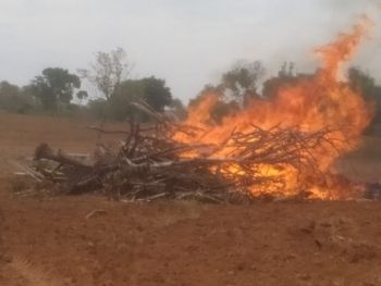 Homem é multado em R$ 3 mil por incêndio em vegetação