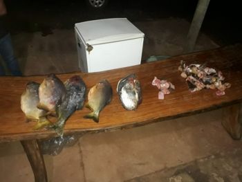 Goiano é multado por pesca e transporte de pescado 