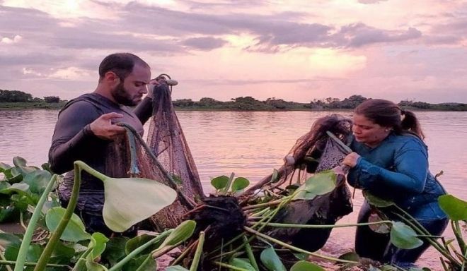 Pesquisadores aumentam 40% inventário de peixes do Pantanal