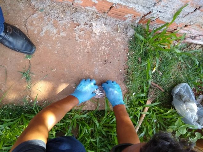 Policiais apreendem cocaína na rede de esgoto