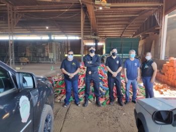 Polícia incinera quatro toneladas de droga 