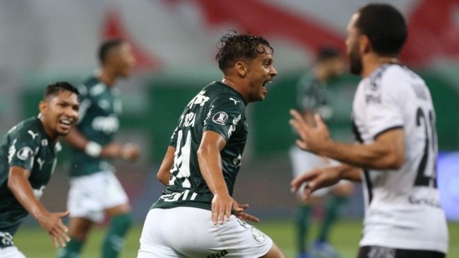Palmeiras Libertad