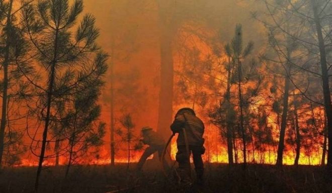 Incêndios florestais têm verba de R$ 56 milhões anunciada pelo Governo de MS