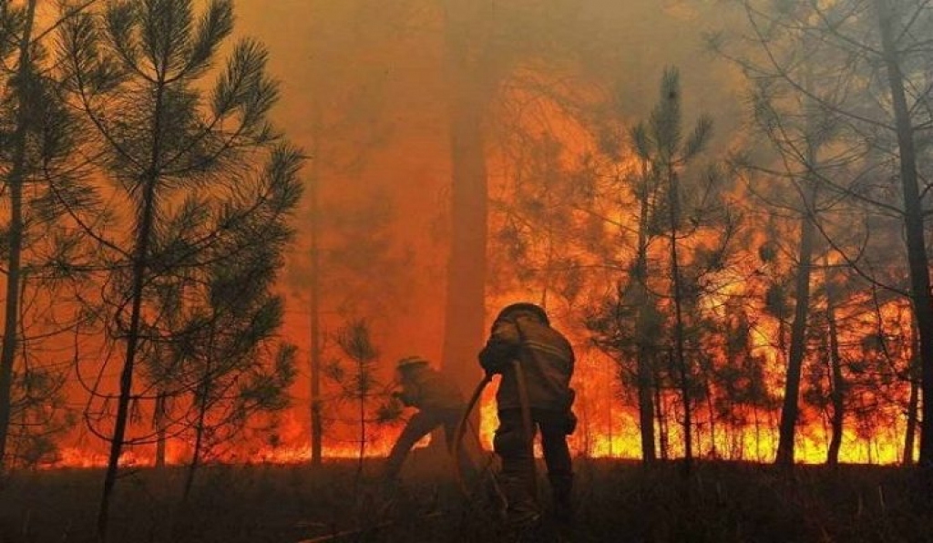 Incêndios florestais têm verba de R$ 56 milhões anunciada pelo Governo de MS