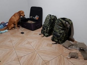 Duas mulheres foram flagradas com malas recheadas de drogas