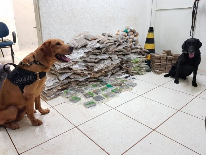 Duas mulheres foram flagradas com malas recheadas de drogas