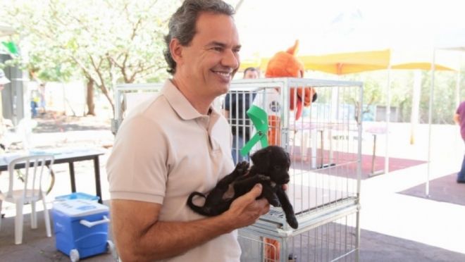 Prefeitura irá investir em hospital veterinário e centro de triagem de animais