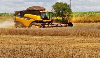 Mato Grosso do Sul bate recorde de R$ 70,9 bilh&otilde;es na produ&ccedil;&atilde;o agropecu&aacute;ria