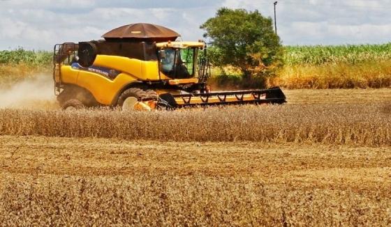 O Estado é o 7º no ranking brasileiro nas riquezas produzidas pelo agronegócio