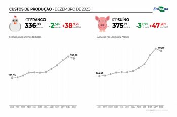 Custos de produção de suínos e de frangos de corte teve alta em 2020