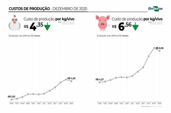 Custos de produção de suínos e de frangos de corte teve alta em 2020