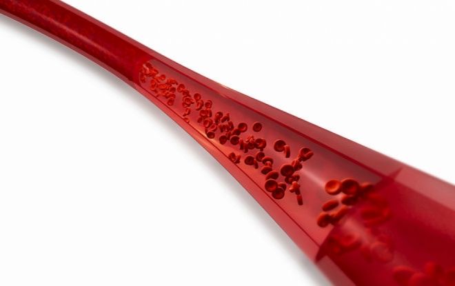 Amora Negra: Por que ela tem sido tão eficaz no tratamento da diabetes?