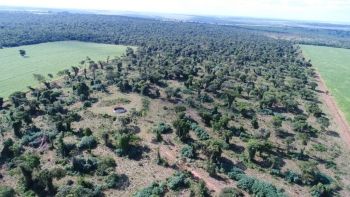 PMA multa infrator em R$ 466 mil desmatamento