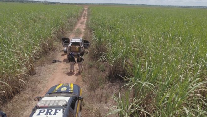 Mais de uma tonelada de maconha é apreendida em Paranaíba