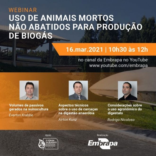 Embrapa promove webinar sobre o uso de animais mortos na produção de biogás 