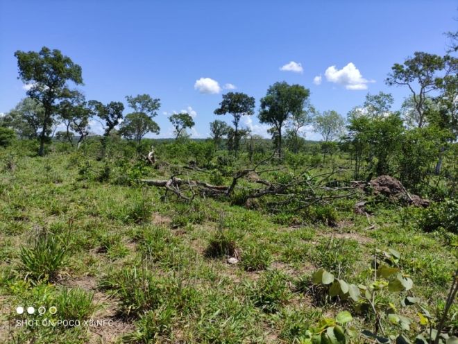 Polícia Militar Ambiental autua infrator em R$ 90 mil por desmatamento