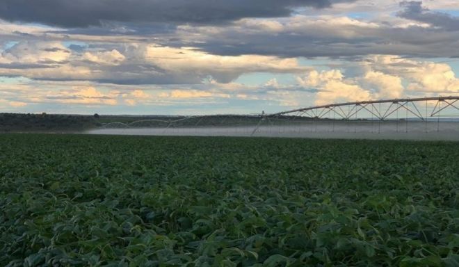 Bandeirantes teve 800 hectares irrigados para intensificação da agricultura