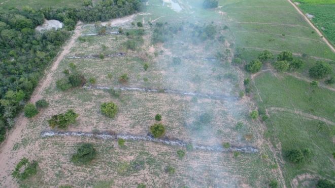 Dono de sítio é multado por incêndio em vegetação 