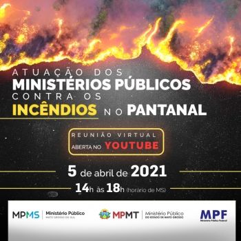 Reunião discute ações de combate a incêndios no Pantanal