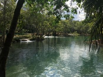Dono de atrativo turístico é multado em R$ 5 mil por desmatamento