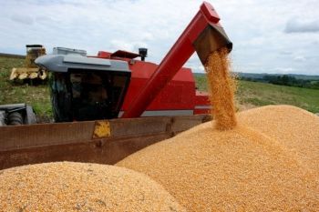 Agricultura brasileira registra bom desempenho durante o primeiro ano da Covid-19